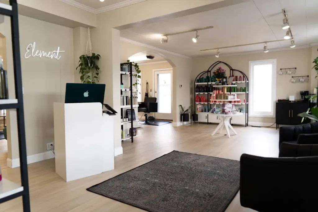 Element Salon and Day Spa/ AVEDA — Hair salon in Midland